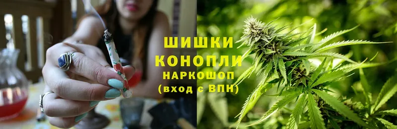 Каннабис White Widow  KRAKEN   Циолковский 